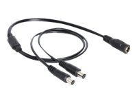 Delock Netz-Splitter - Gleichstromstecker 5,5 x 2,1 mm (M)
