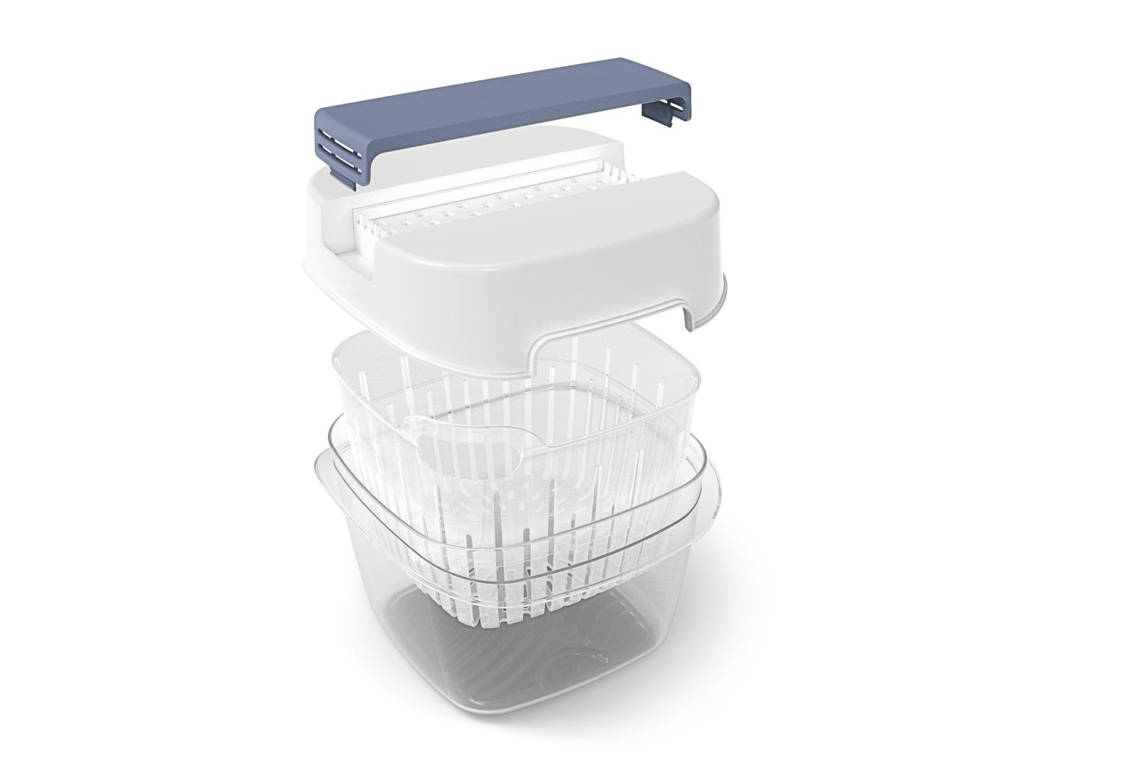 Rotho Dynamic Box 1,6 L FRESH