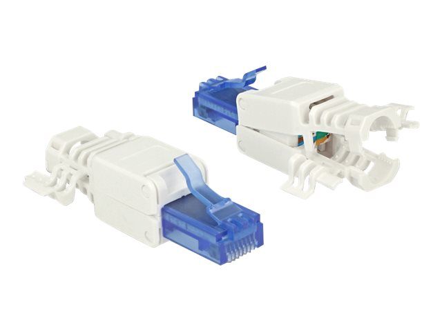 Delock Netzwerkanschluss - RJ-45 (M) - UTP - CAT 6a - (Anzahl pro Packung: 2)
