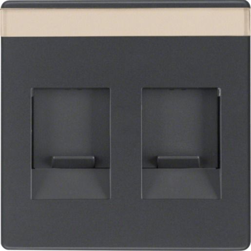 Berker ZSTK.M.STAUBSCHUTZ 2FACH ANTH. / BERKER 11816086 Q.X 11816086
