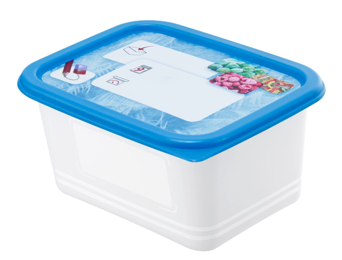 Rotho Set Gefrierdosen 4 x 0.75 l DOMINO