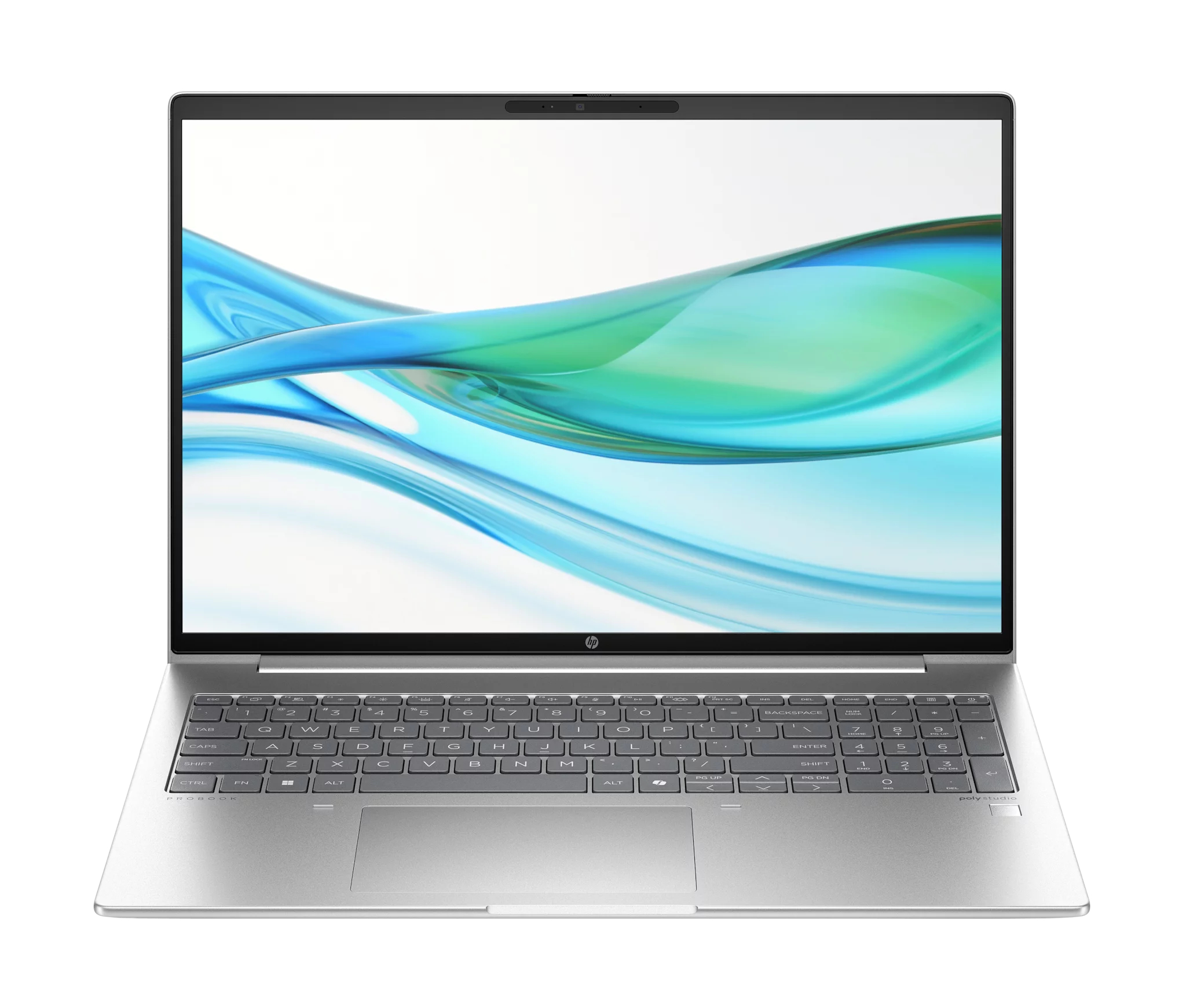 HP ProBook 460 G11 Pike Silver, Core Ultra 5 125U