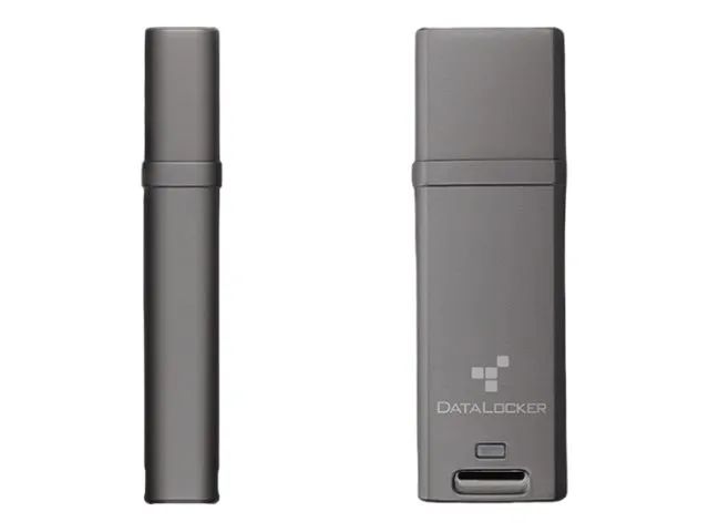 DataLocker DL GO - USB-Flash-Laufwerk - verschlüsselt