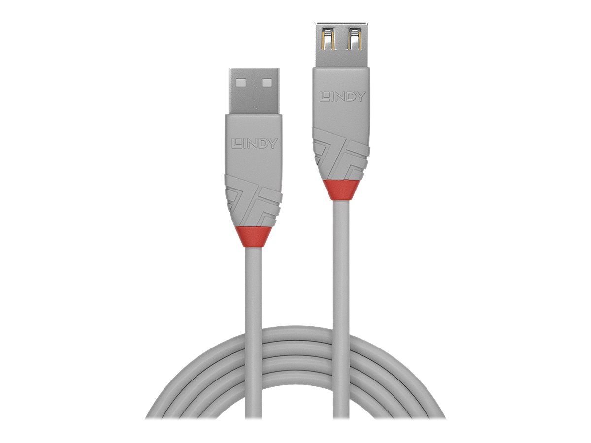 Lindy Anthra Line - USB-Kabel - USB (M) zu USB (M)