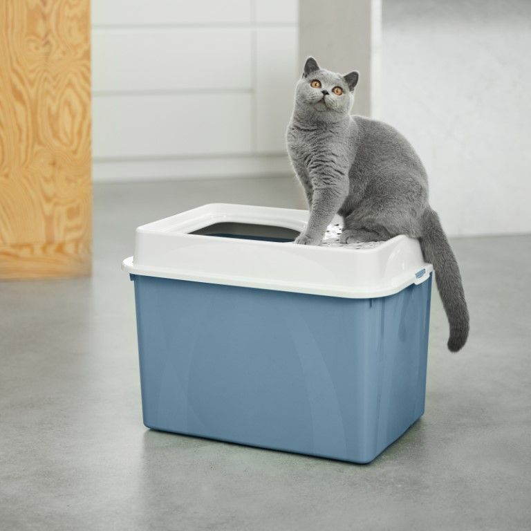 Rotho Katzentoilette oben offen Eco BERTY