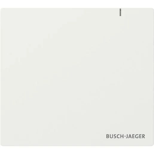 Busch-Jaeger SYSTEM ACCESS POINT 3.0 / BUSCH SAP.13 2CKA006200A0868