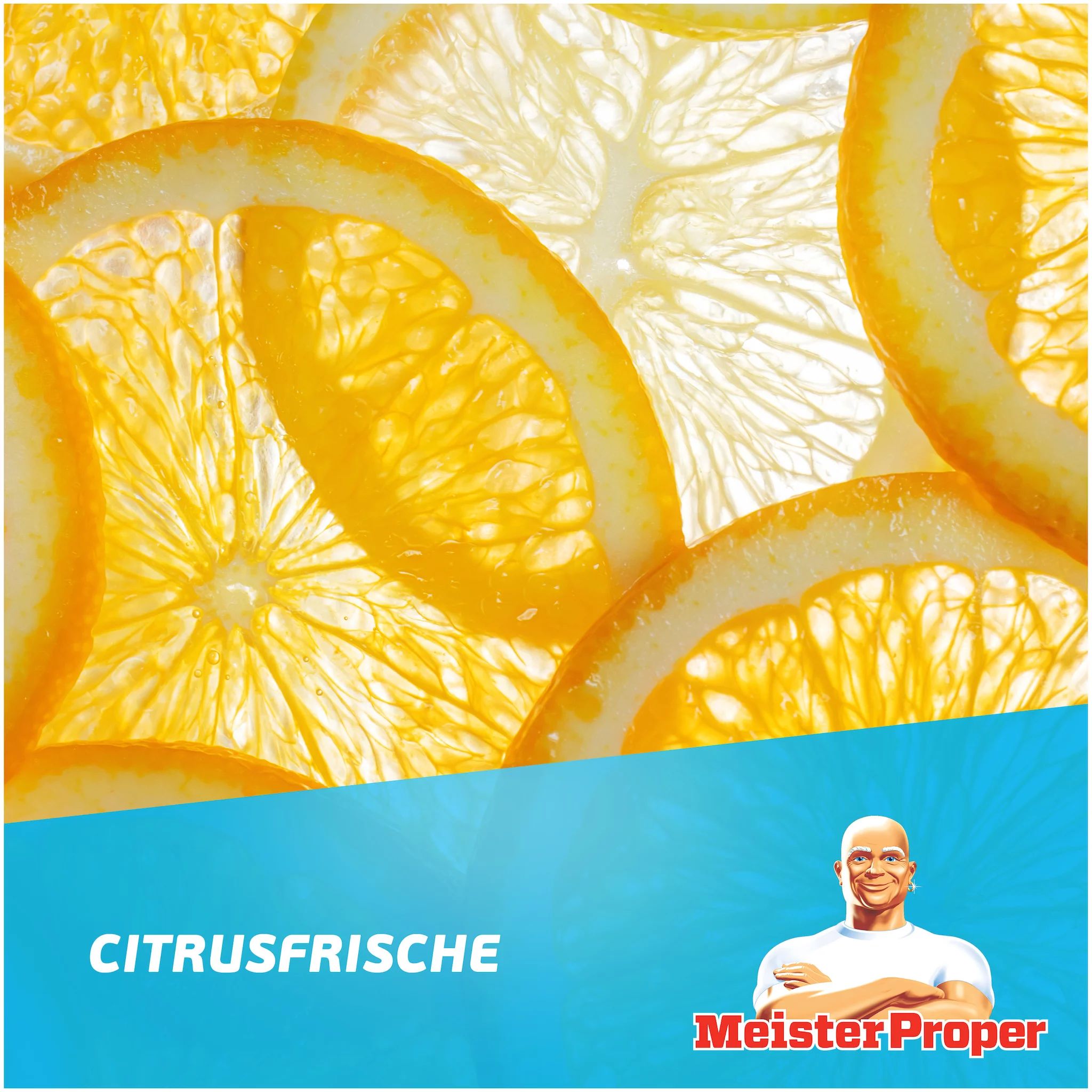 Meister Proper Citrusfrische 2L