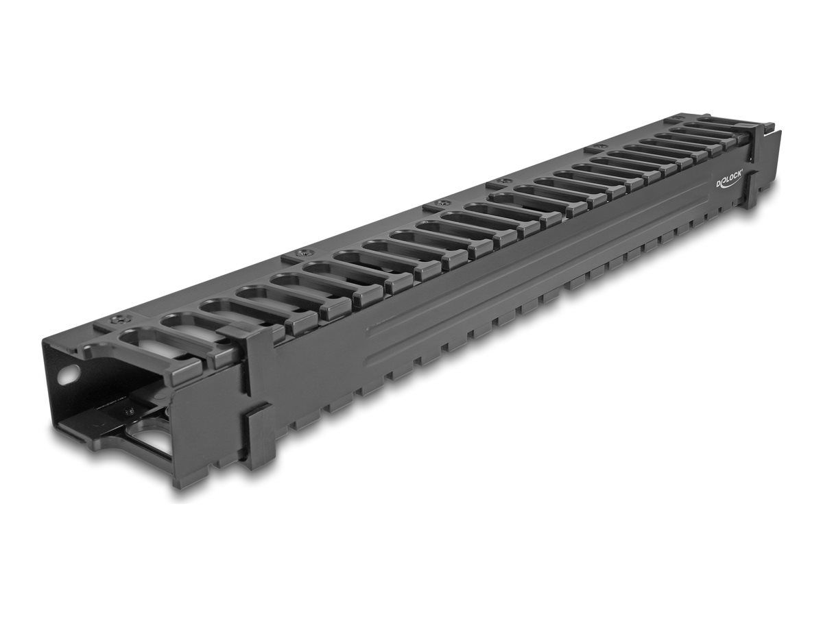 Delock Kabelführungsplatte für Schaltschrank - 3 Öffnungen - Schwarz - 1U - 48.3 cm (19")