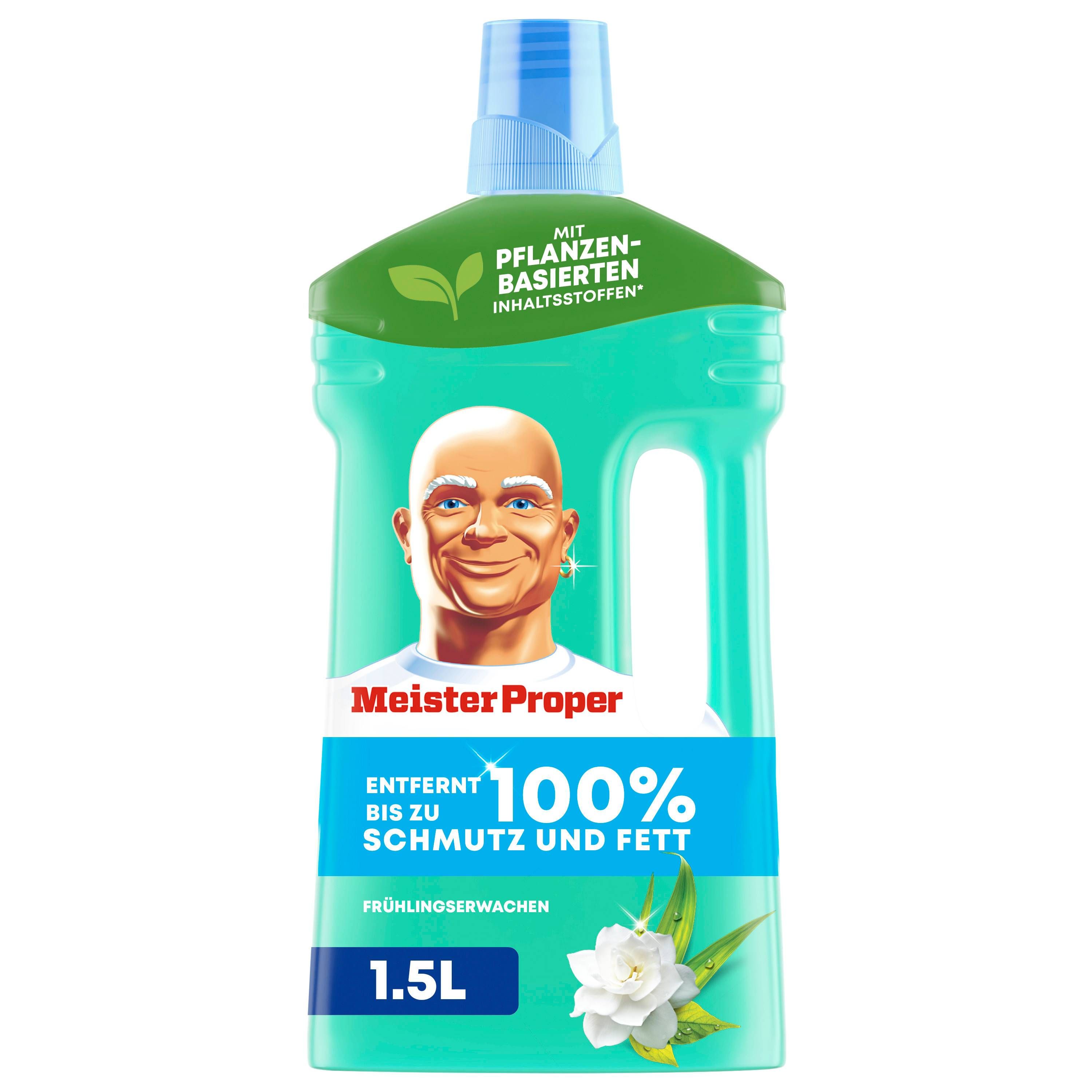 Meister Proper Frühlingserwachen 1L