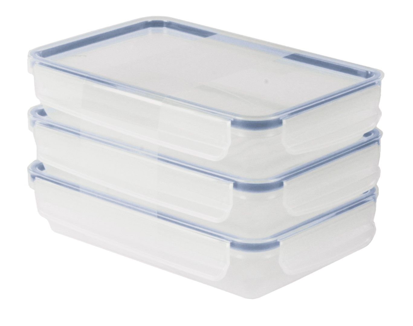 Rotho Set Kühlschrankdose 1 l flach 3 tlg. CL