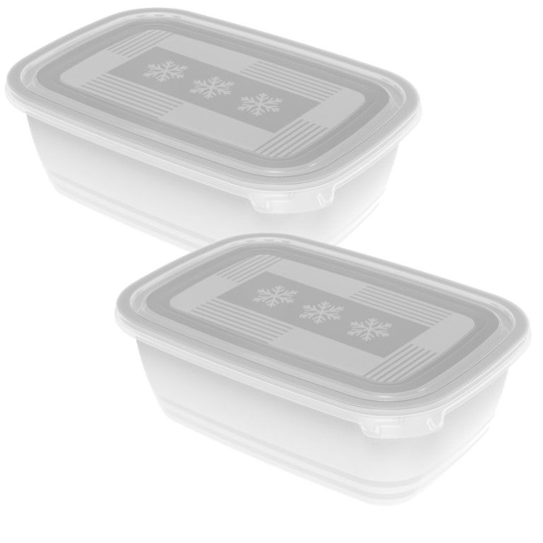 Rotho Set Gefrierdosen 2 x 1.9 l FREEZE