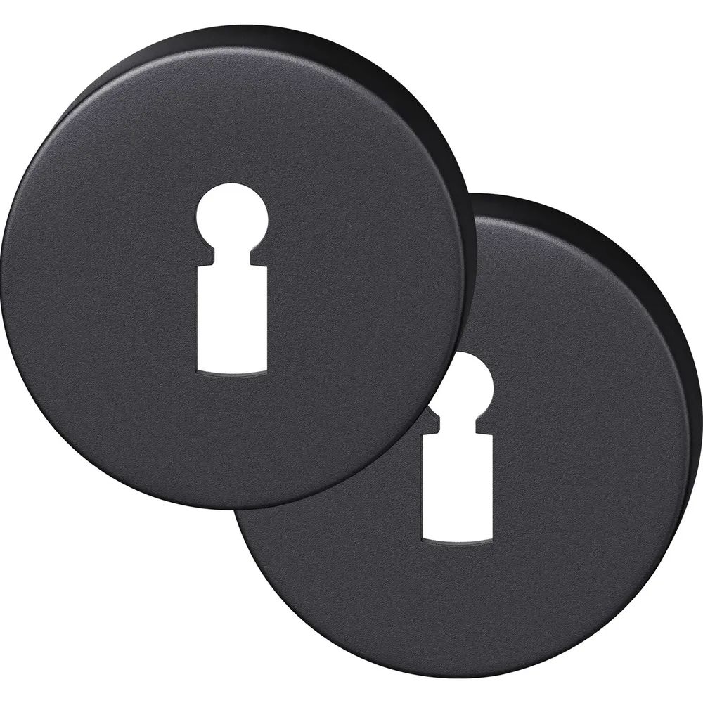 FSB Buntbartrosette rund 12 1735 00002 ASL, Aluminium schwarz matt