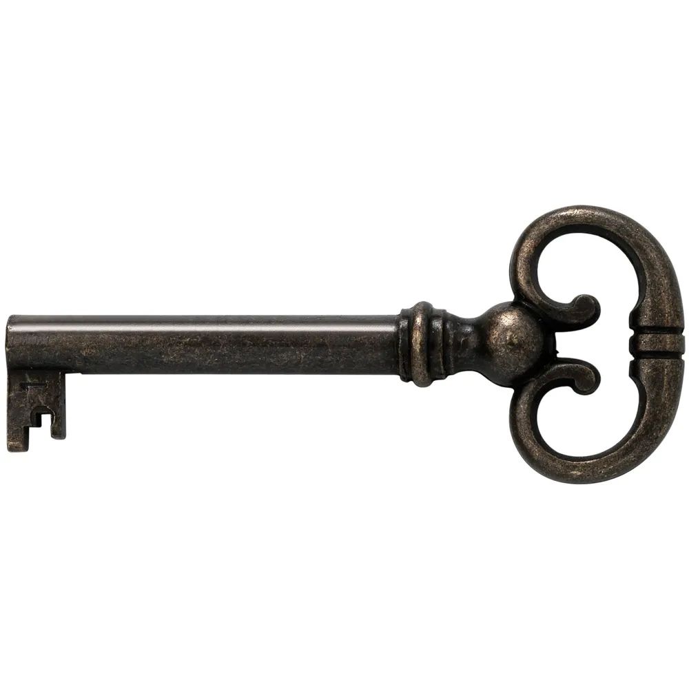 JUNIE Möbelschlüssel 4, Bartbreite 6 mm, Barthöhe 8 mm, brüniert
