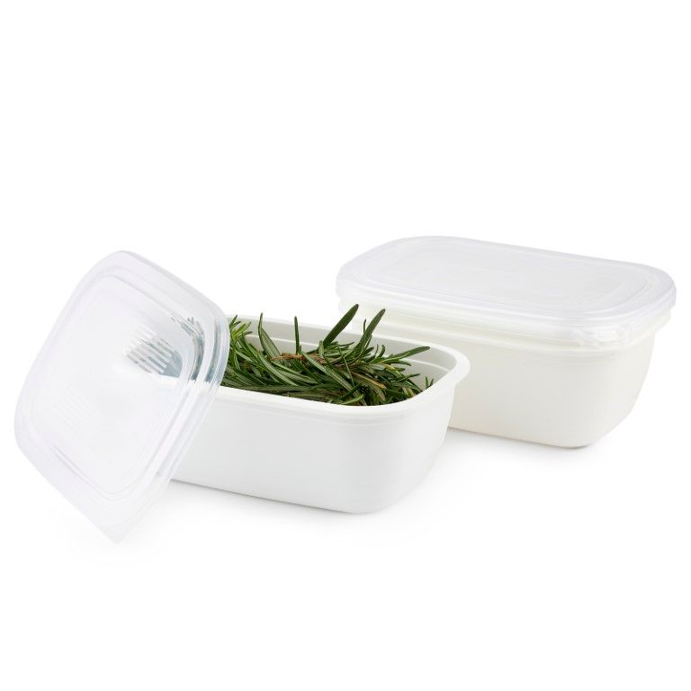 Rotho Set Gefrierdosen 3 x 1 l FREEZE