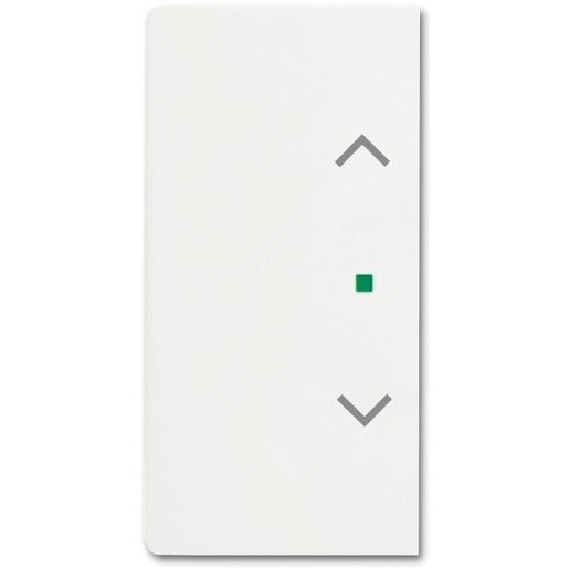 Busch-Jaeger WIPPE 2F JALOUSIE 6232-20-884 / BUSCH 6232-20-884 2CKA006220A0488
