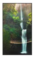 Hisense 55WH80F High Brightness Display - Flachbildschirm (TFT/LCD) - 139,7 cm