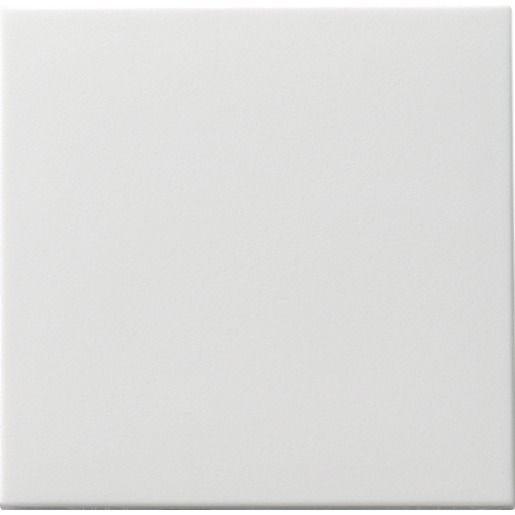 Gira WIPPE TASTSCHALTER WECHSEL / GIRA 091603