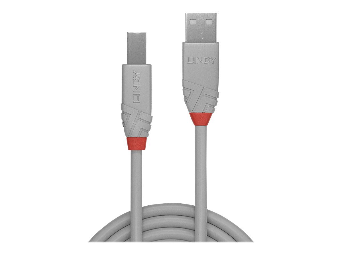 Lindy Anthra Line - USB-Kabel - USB (M) zu USB Typ B (M)