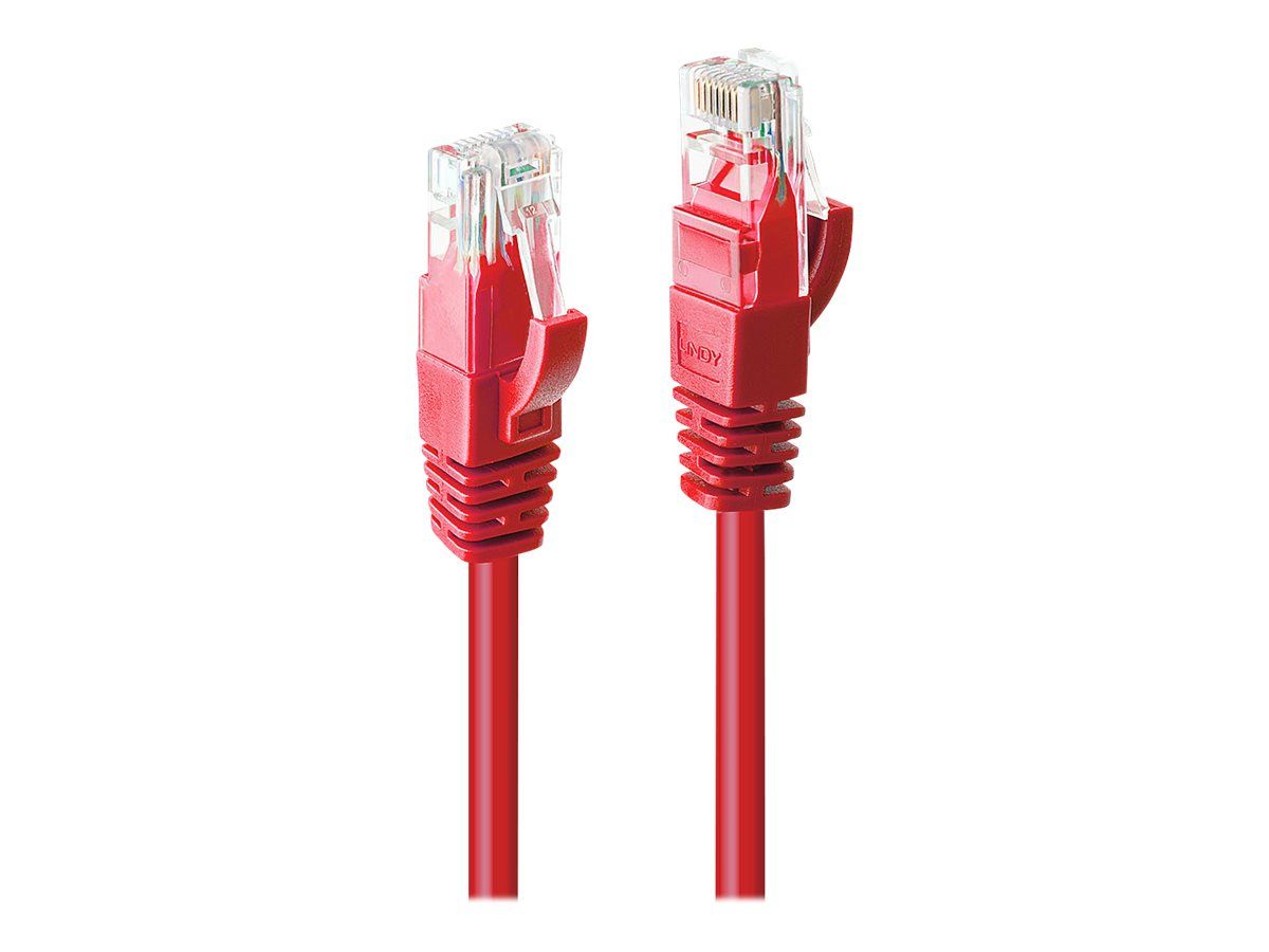 Lindy Patch-Kabel - RJ-45 (M) bis RJ-45 (M)