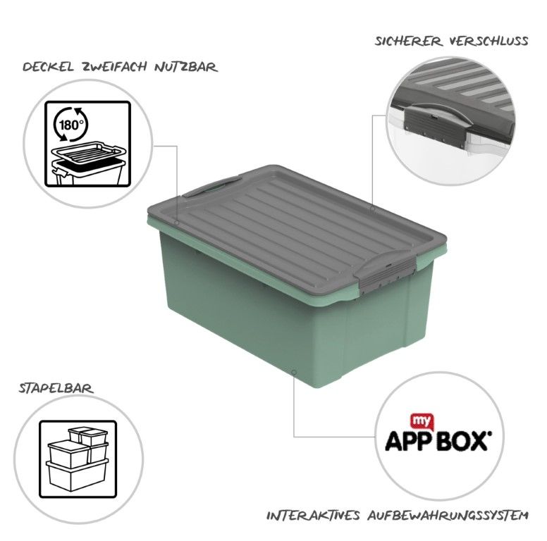 Rotho Stapelbox A4, 13 l COMPACT
