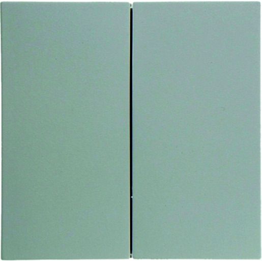 Berker NEP TASTE 2F. PWS GLÄNZEND / BERKER 85142189 B.X 85142189