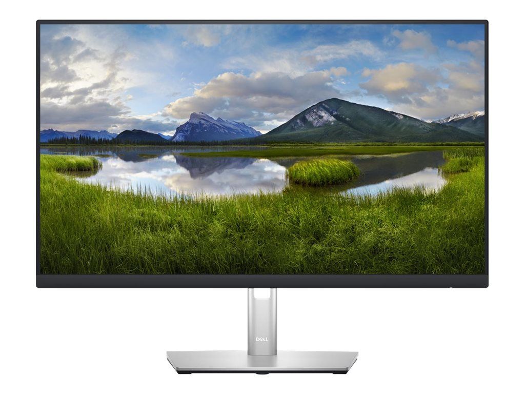 Dell P2423D - LED-Monitor - 60.5 cm (23.8") - 2560 x 1440 QHD @ 60 Hz