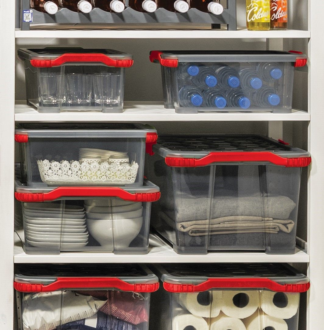 Rotho Box m. Rädern 65l EVO TOTAL