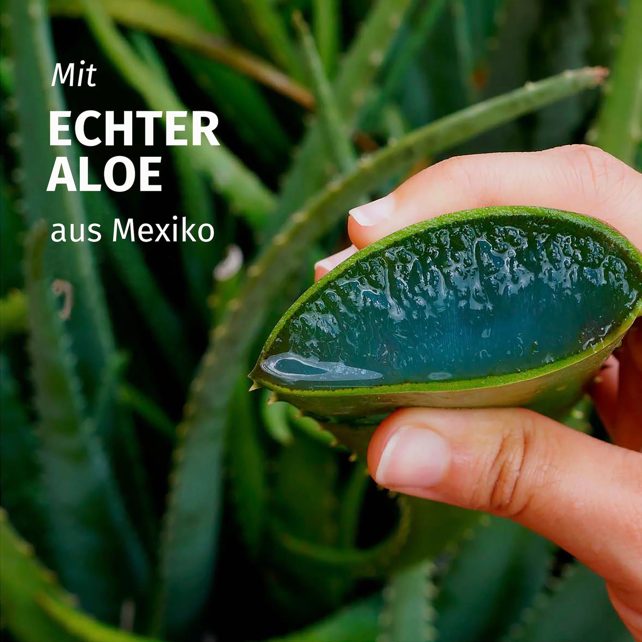 Herbal Essences Feuchtigkeit Aloe Shampoo