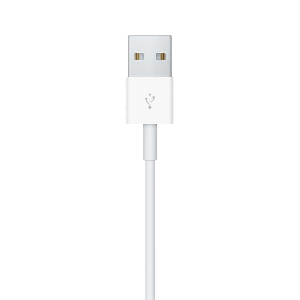 Apple Magnetic - Ladekabel für Smartwatch - USB männlich