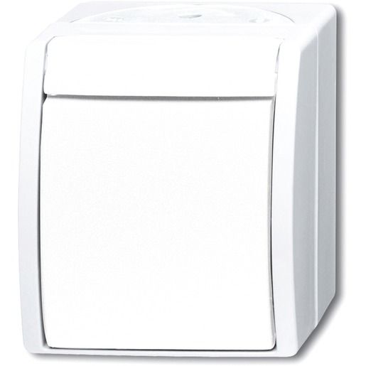Busch-Jaeger AP TA.SCHLIEßER / BUSCH 2621 W-54 2CKA001484A0380