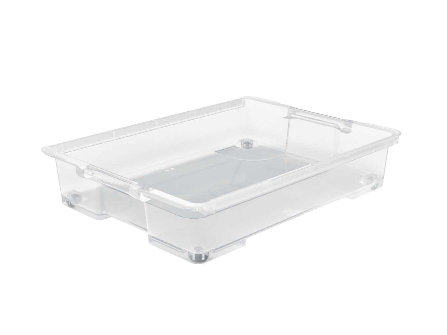Rotho Unterbettbox 50 l EVO EASY