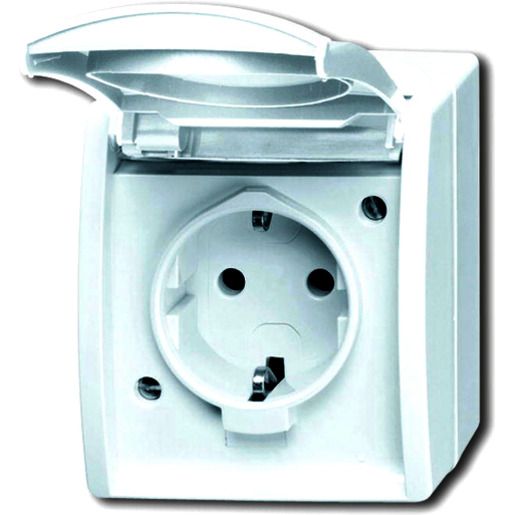 Busch-Jaeger FR AP STD / BUSCH 20 EW-54 2CKA002083A0834