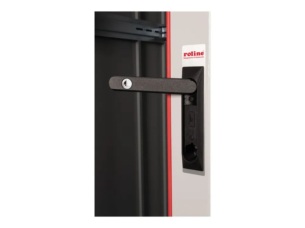 ROLINE Basic - Schrank Netzwerkschrank - Glas Tür, 800x1000 WxD - RAL 7035, Hellgrau - 42HE - 48.3 cm (19")