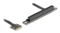 Delock Riser Card