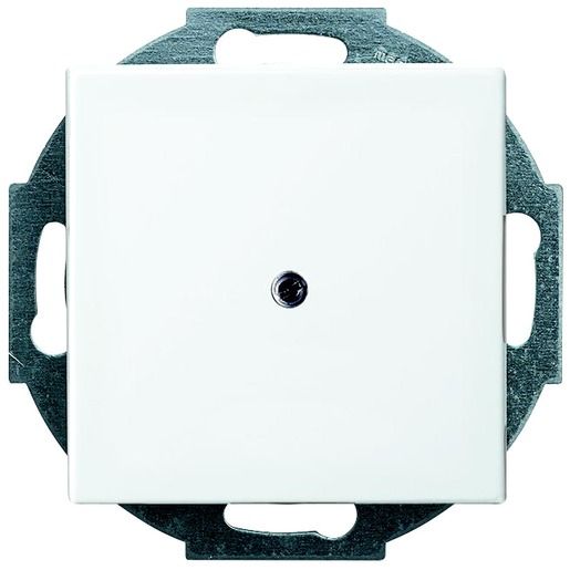 Busch-Jaeger ZENT.SCH.LEITUNGSAUSL / BUSCH 2527-914 2CKA001710A4061