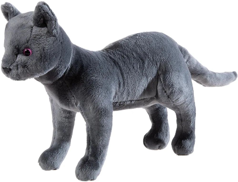 HEUNEC GmbH & Co. KG Schule d.mag.Tiere Kater Karajan 30cm