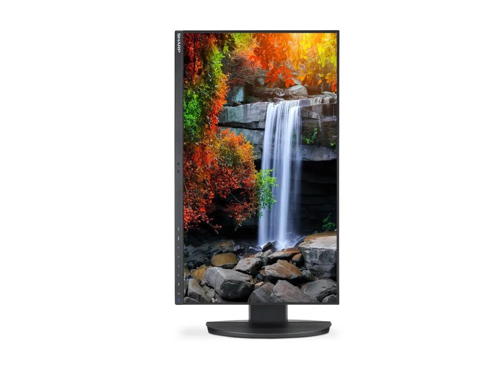 NEC Sharp MultiSync EA242F - LED-Monitor - 60.5 cm (23.8")