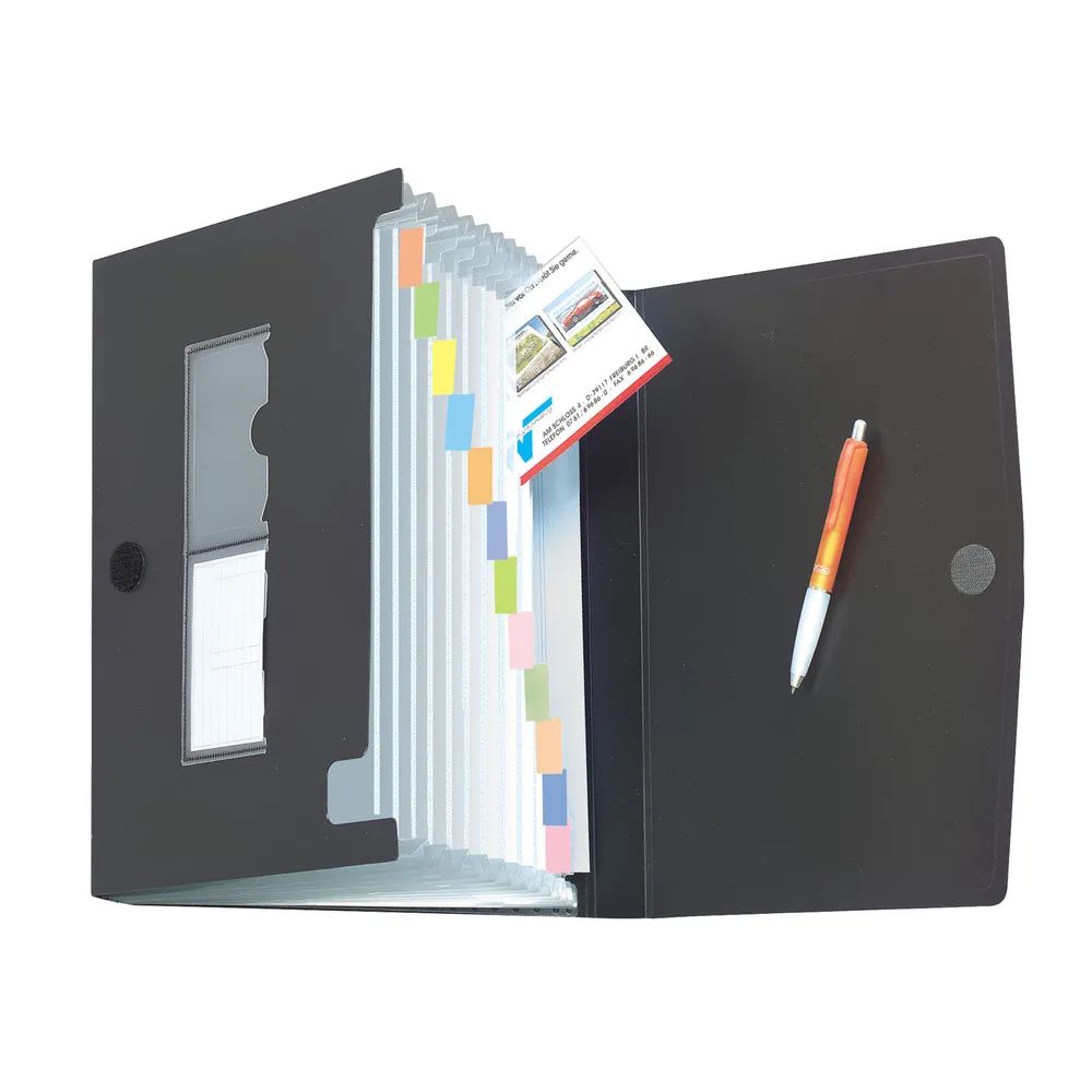 herlitz Fächermappe, Recycling, A4, PP 12 Fächer, farbig sortiert, easy orga to go