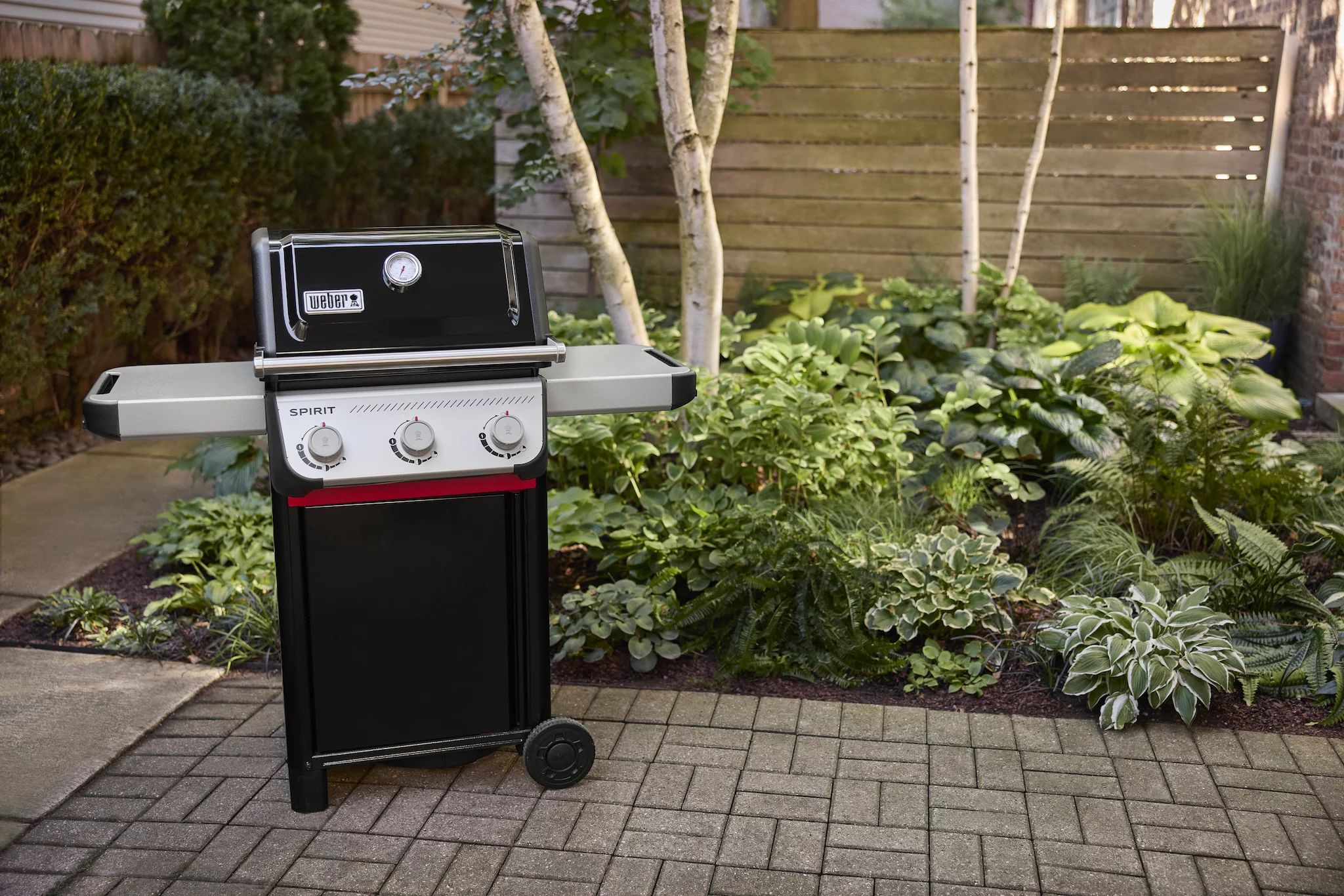 Weber SPIRIT E-310 (2025)