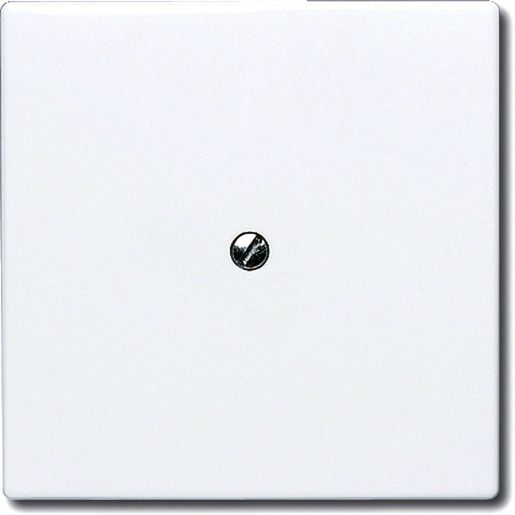 Busch-Jaeger ALLW. C-SCH.+TRAGR.BLIND / BUSCH 2138-32 2CKA001710A2264