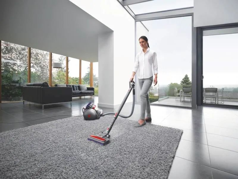 Dyson Big Ball Parquet 2