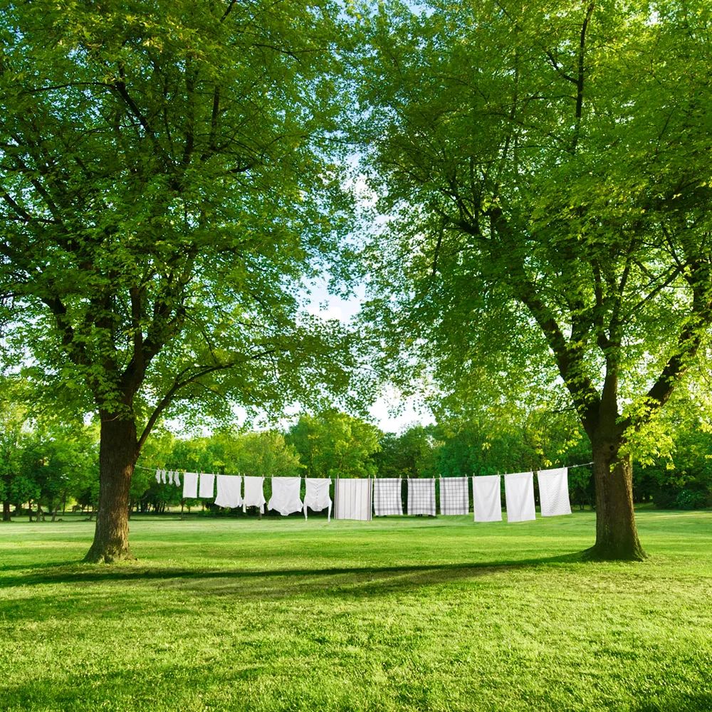Brabantia Wäscheleine, 65m mit Befestigungsklipps - Grey