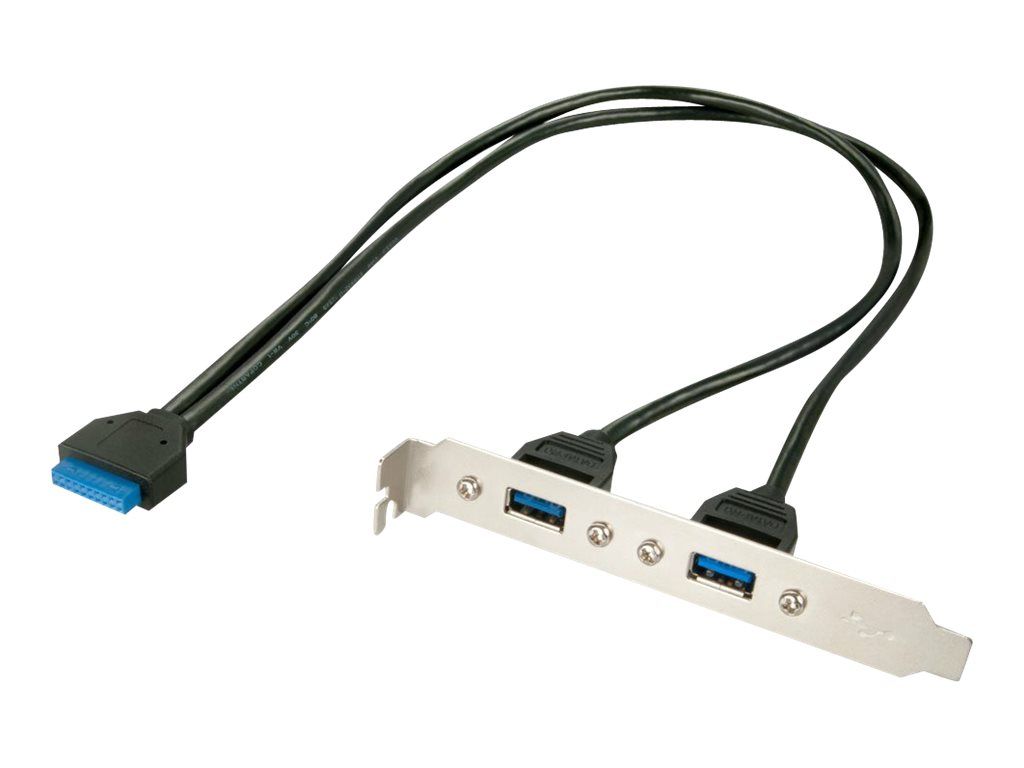 Lindy 2 Port USB 3.0 PC Back Plate - USB-Konsole - USB (W)