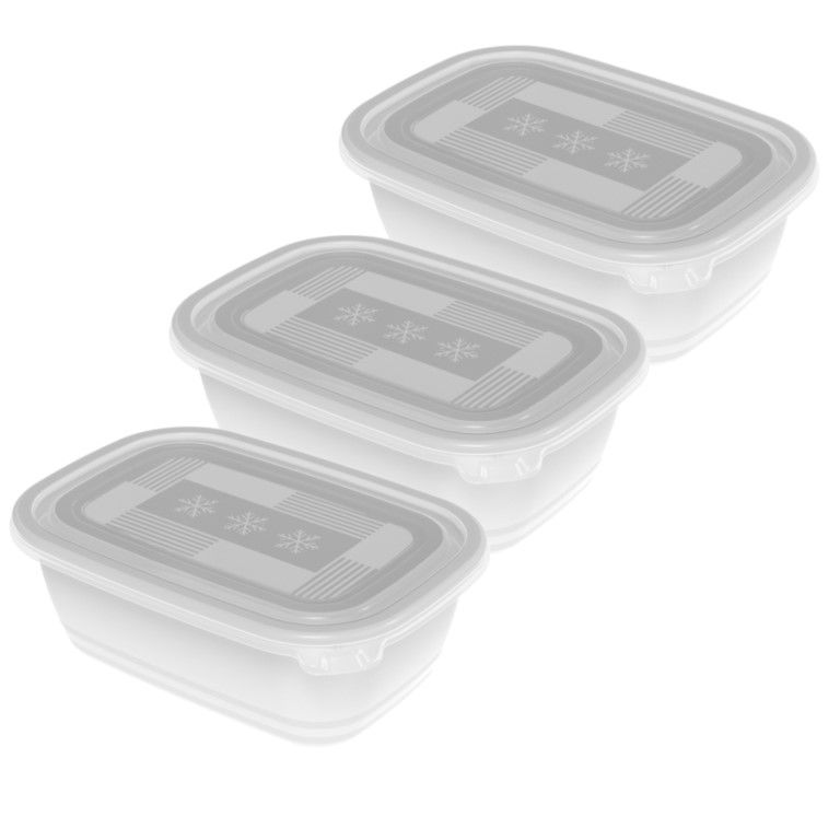 Rotho Set Gefrierdosen 3 x 1 l FREEZE