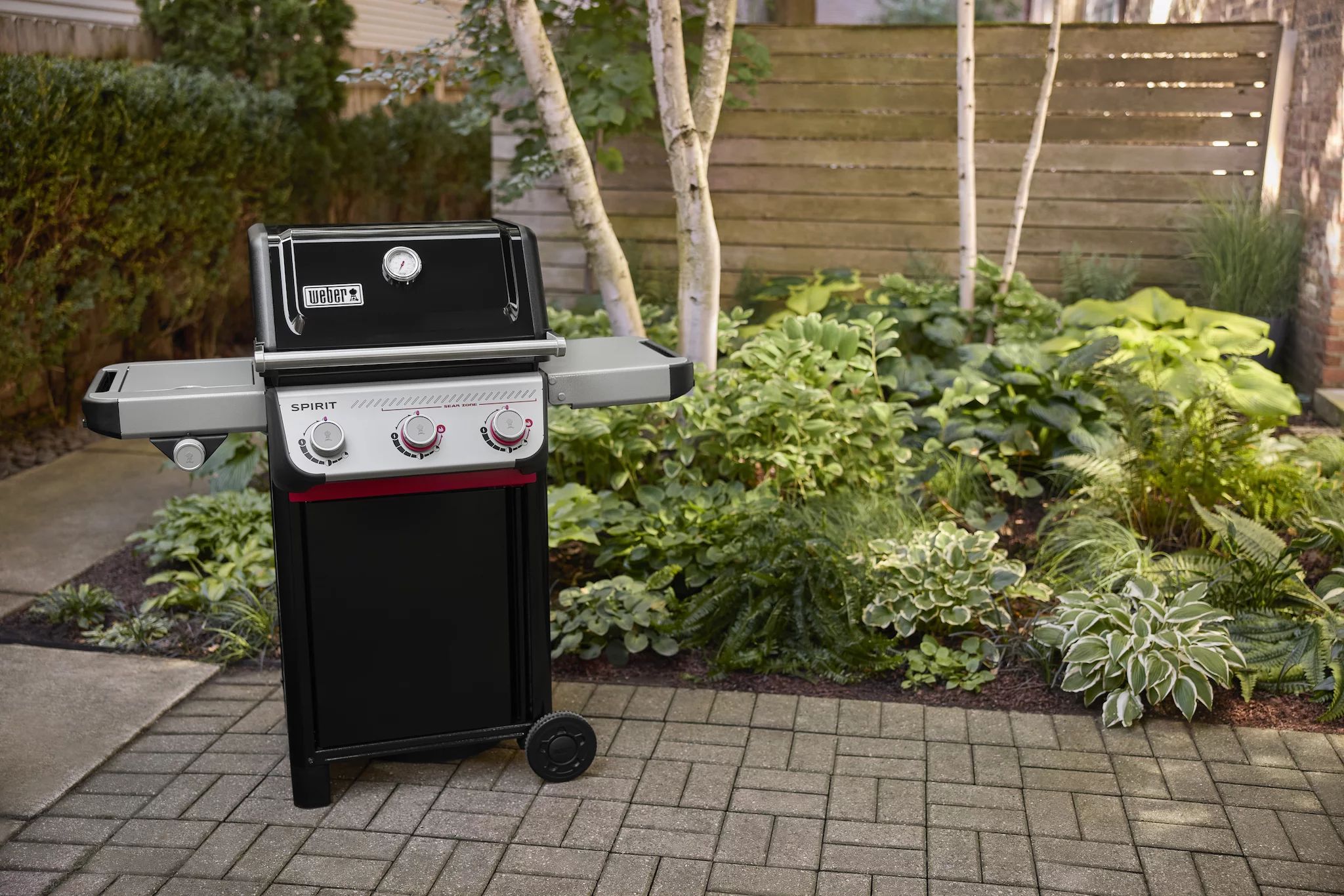 Weber SPIRIT E-335 GBS (2025)