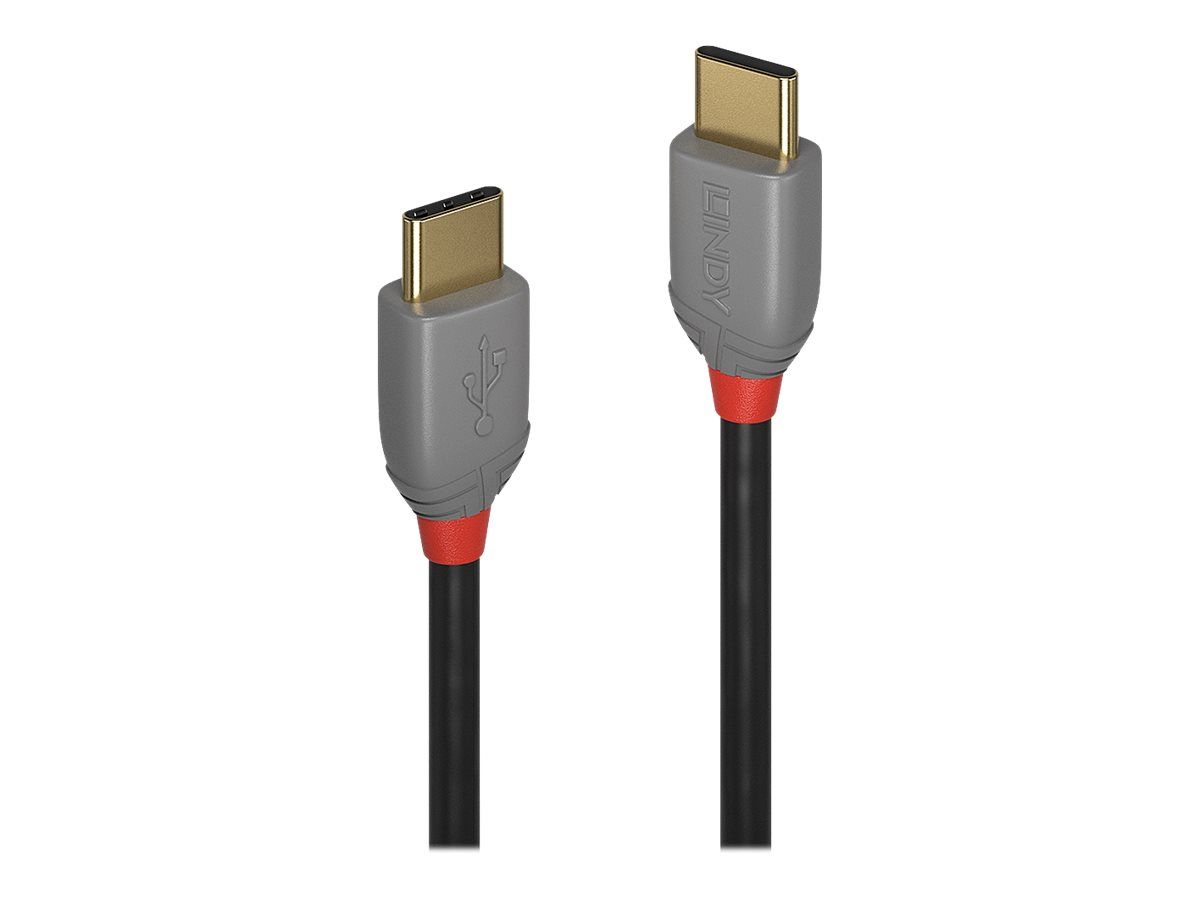 Lindy Anthra Line - USB-Kabel - 24 pin USB-C (M)