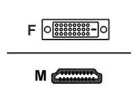 AG Neovo CB-01 - Adapterkabel - DVI-D weiblich zu HDMI männlich