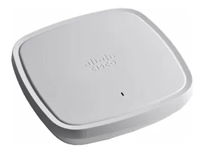 Cisco Catalyst 9130AXE - Accesspoint - 1GbE