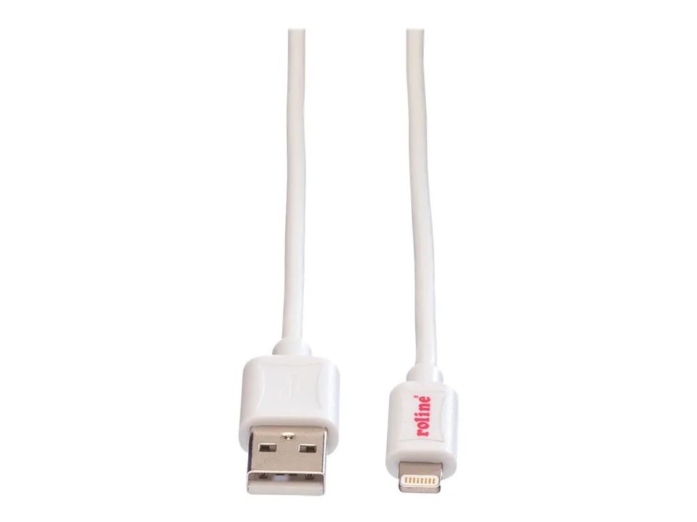 ROLINE Lightning-Kabel - Lightning männlich zu USB männlich