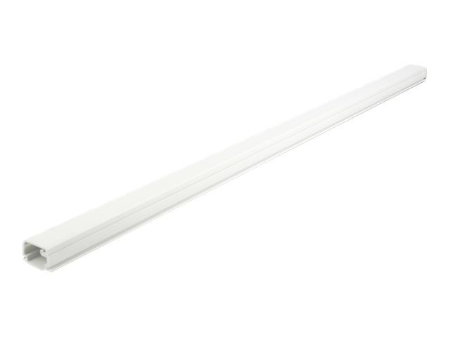 Delock Kabelkanal mit Abdeckung - 1 m - weiß